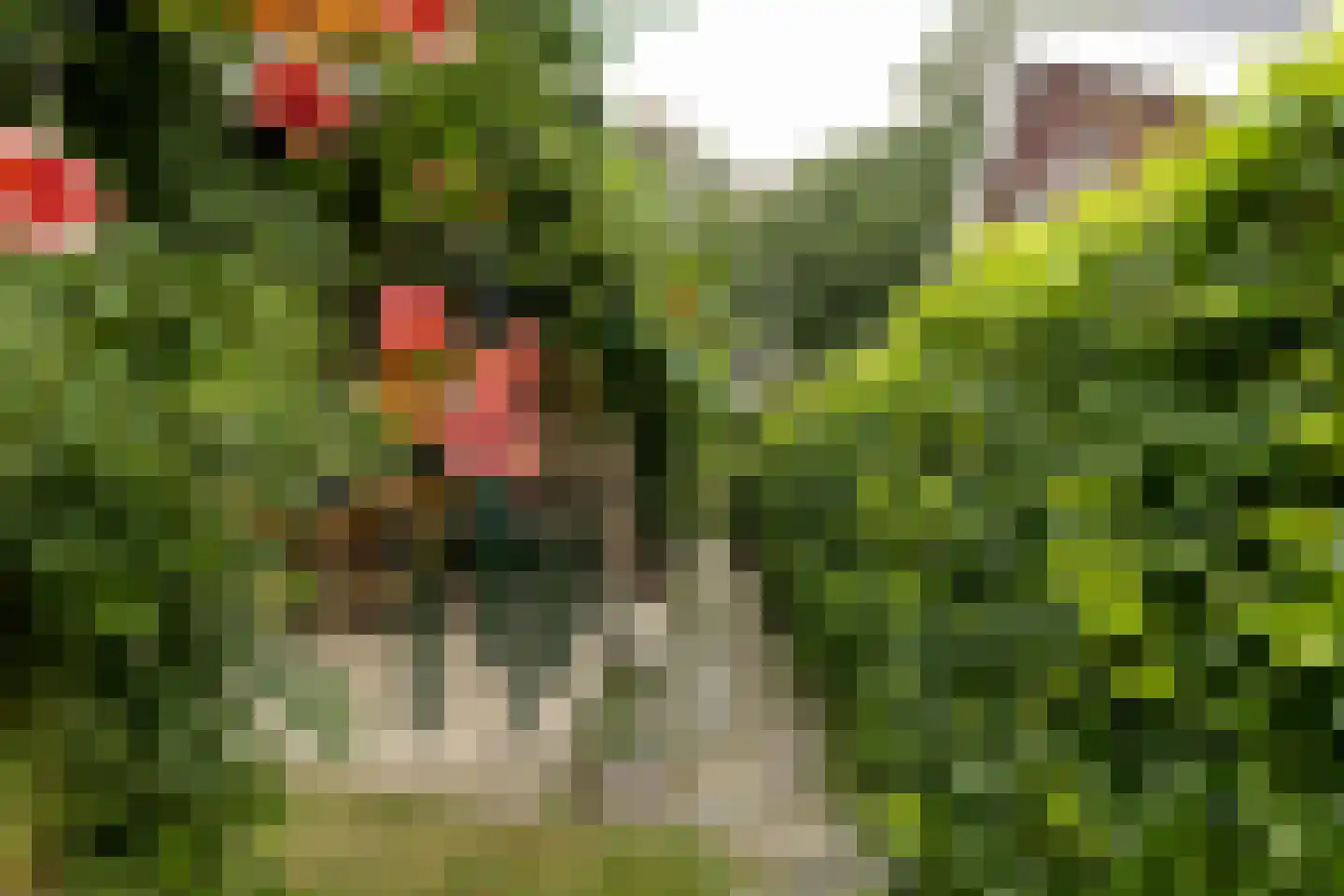 van Rechterenstraat 8 Appeltern thumbnail 79