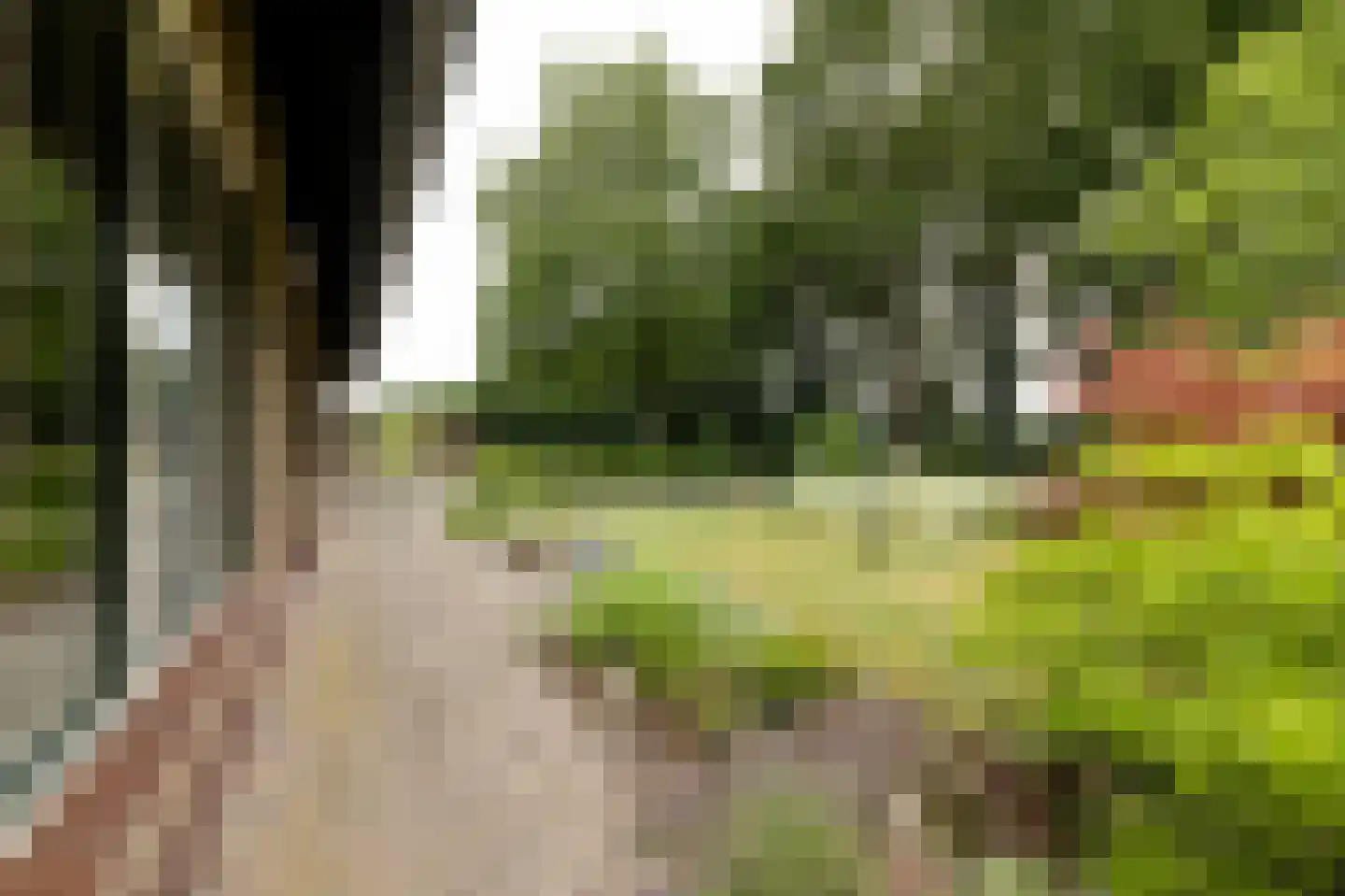 van Rechterenstraat 8 Appeltern thumbnail 83