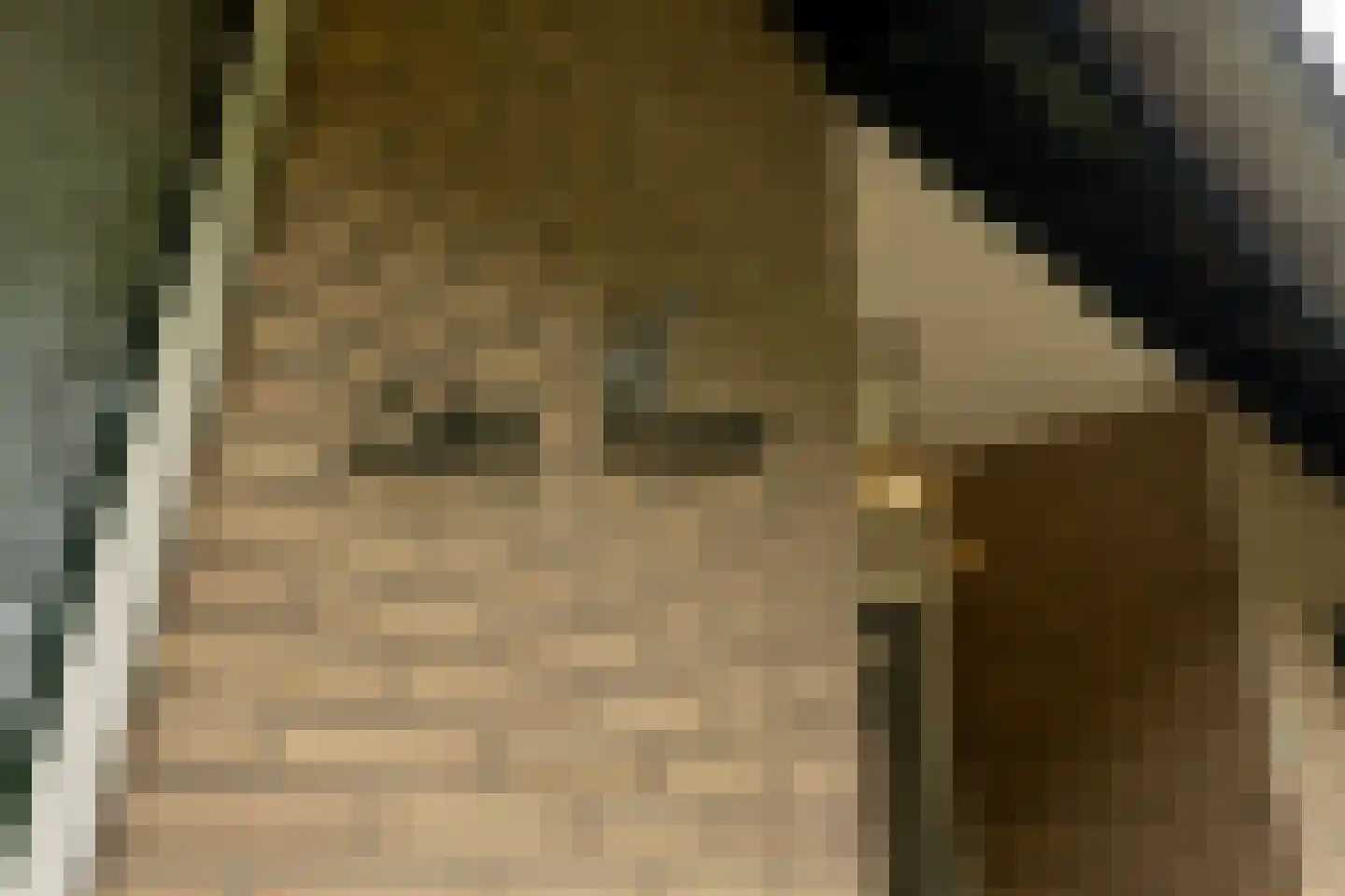 van Rechterenstraat 8 Appeltern thumbnail 84