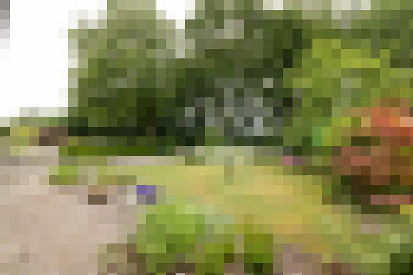 van Rechterenstraat 8 Appeltern thumbnail 85
