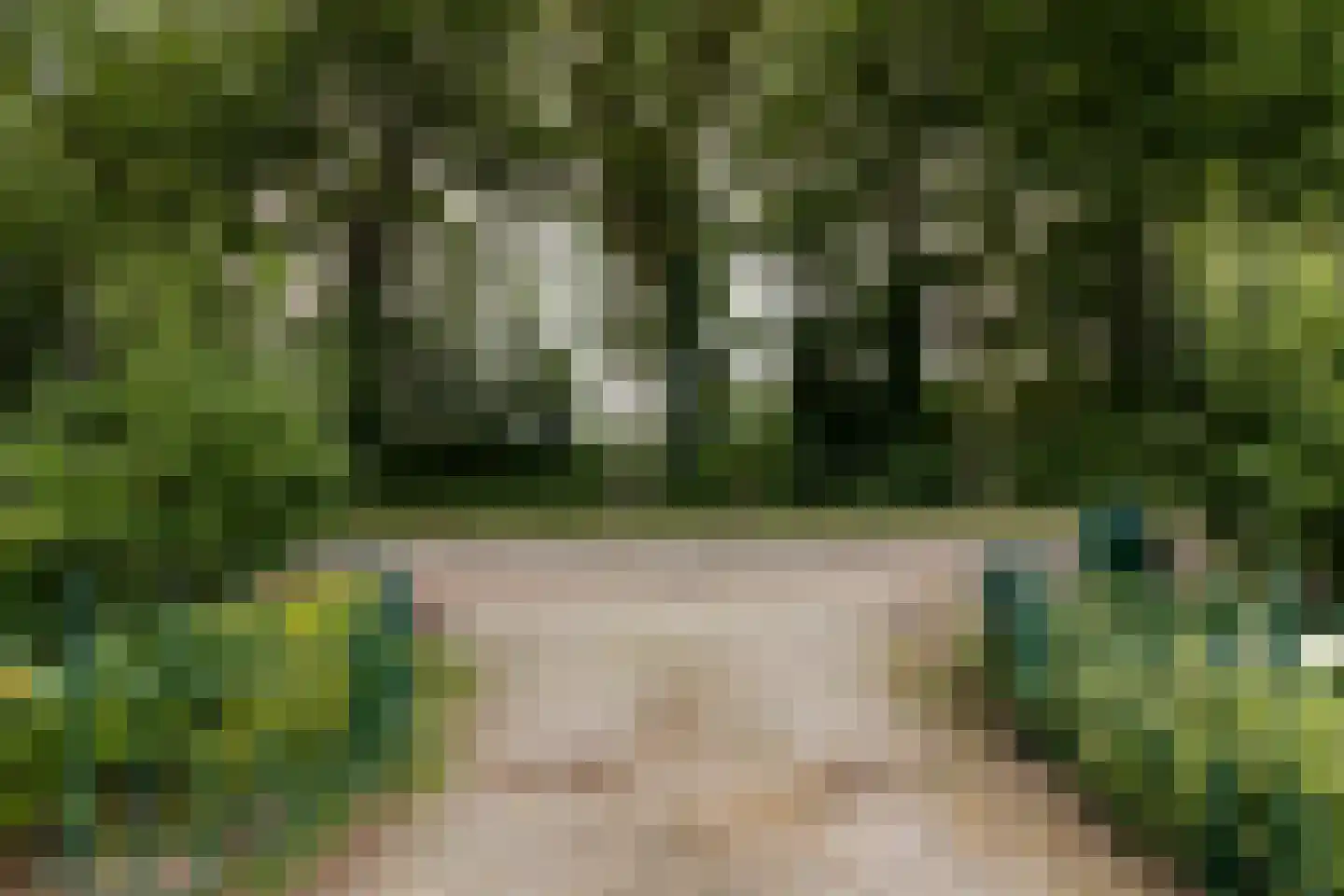 van Rechterenstraat 8 Appeltern thumbnail 86