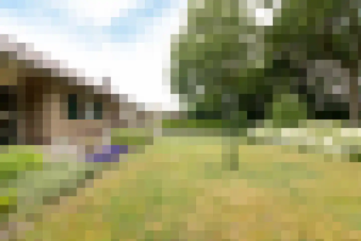 van Rechterenstraat 8 Appeltern thumbnail 87