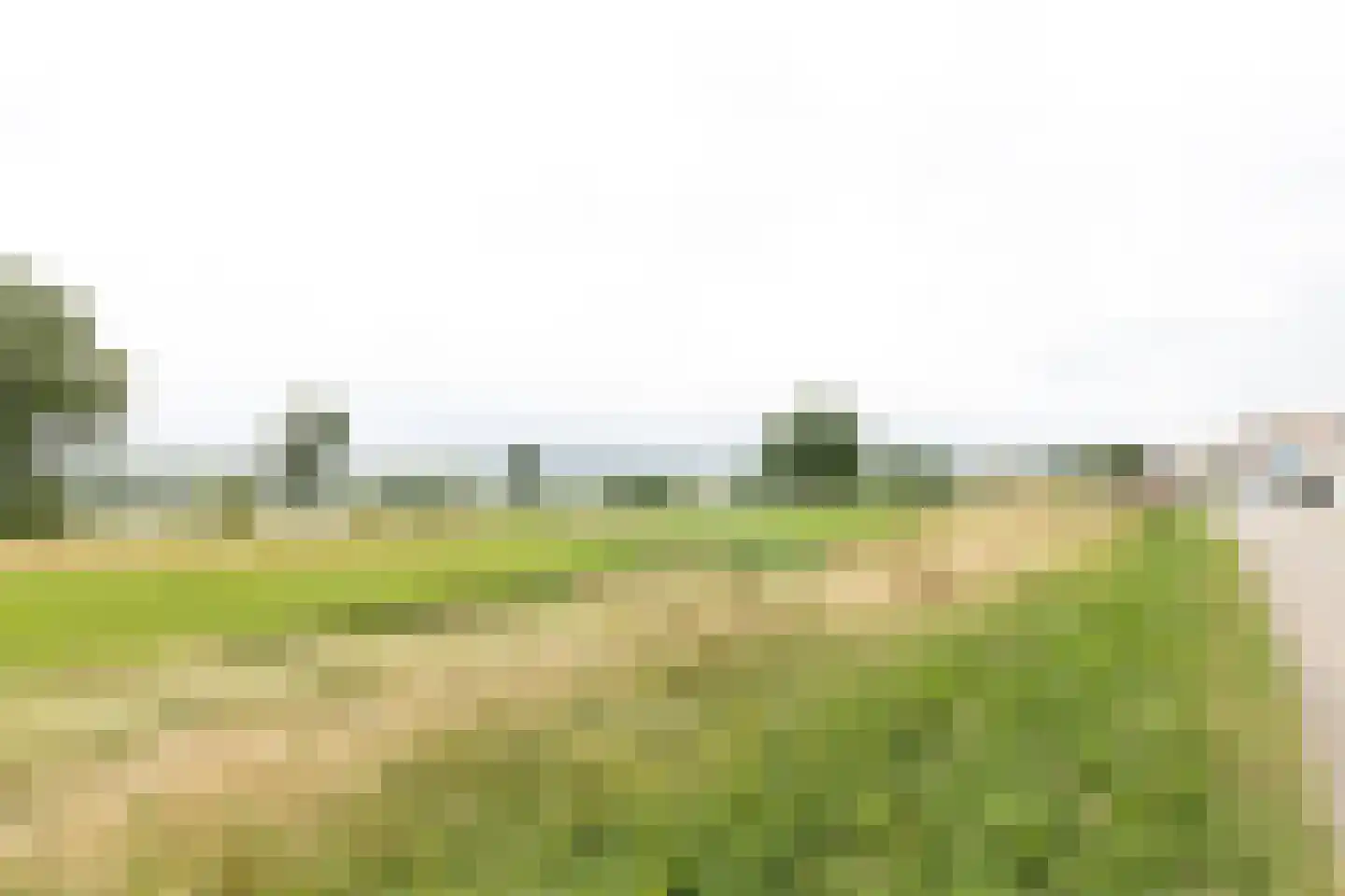 van Rechterenstraat 8 Appeltern thumbnail 88