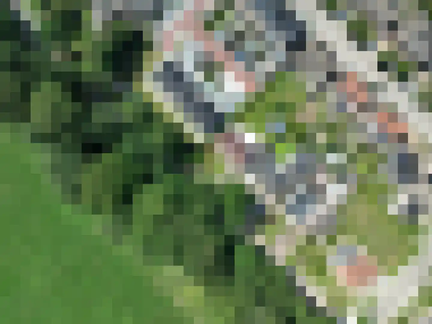 van Rechterenstraat 8 Appeltern thumbnail 93