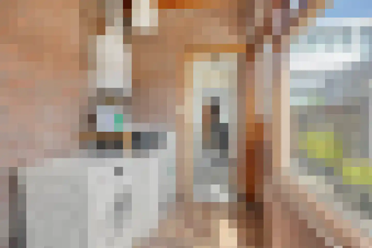 Van Reedestraat 14 Alphen aan den Rijn thumbnail 20