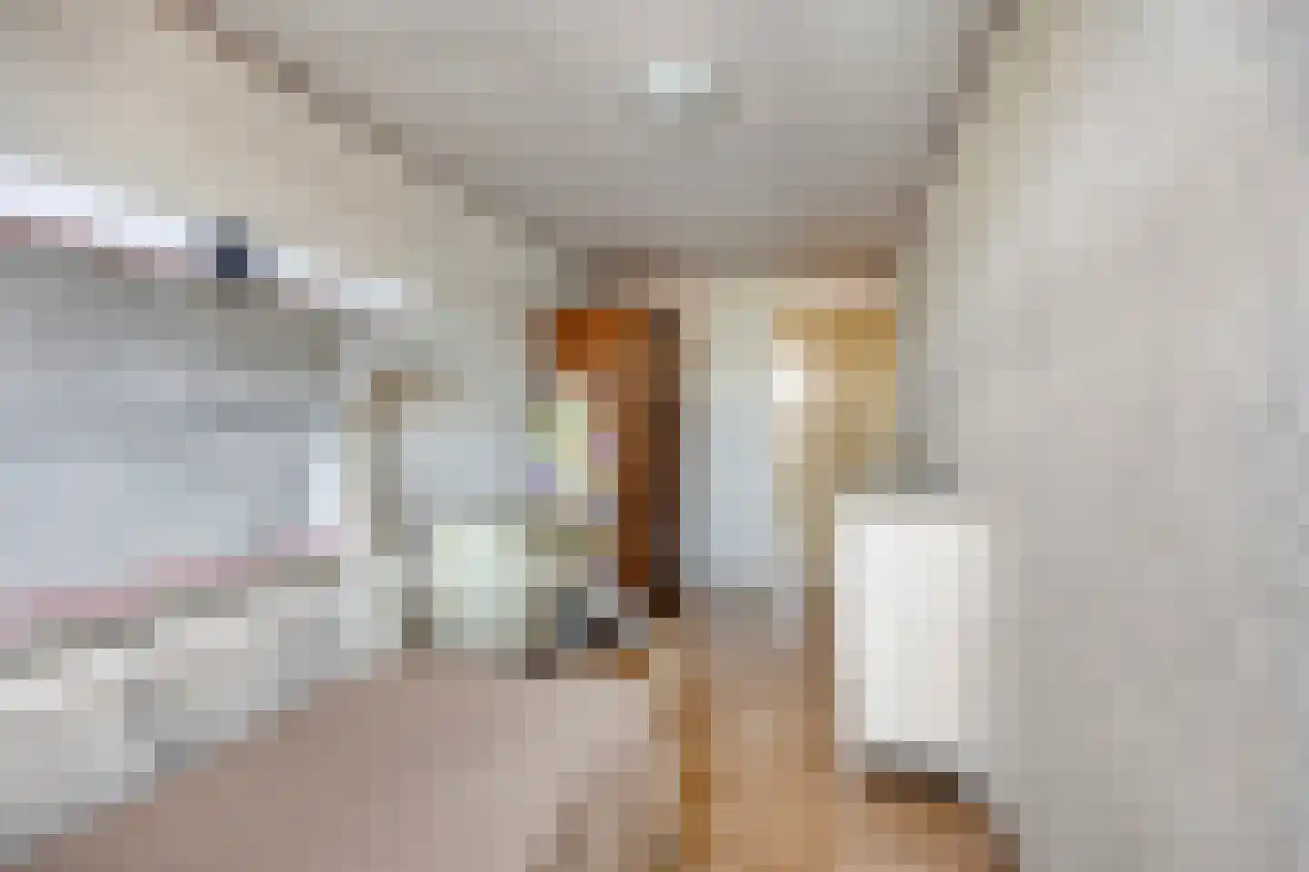 Van Reedestraat 14 Alphen aan den Rijn thumbnail 25