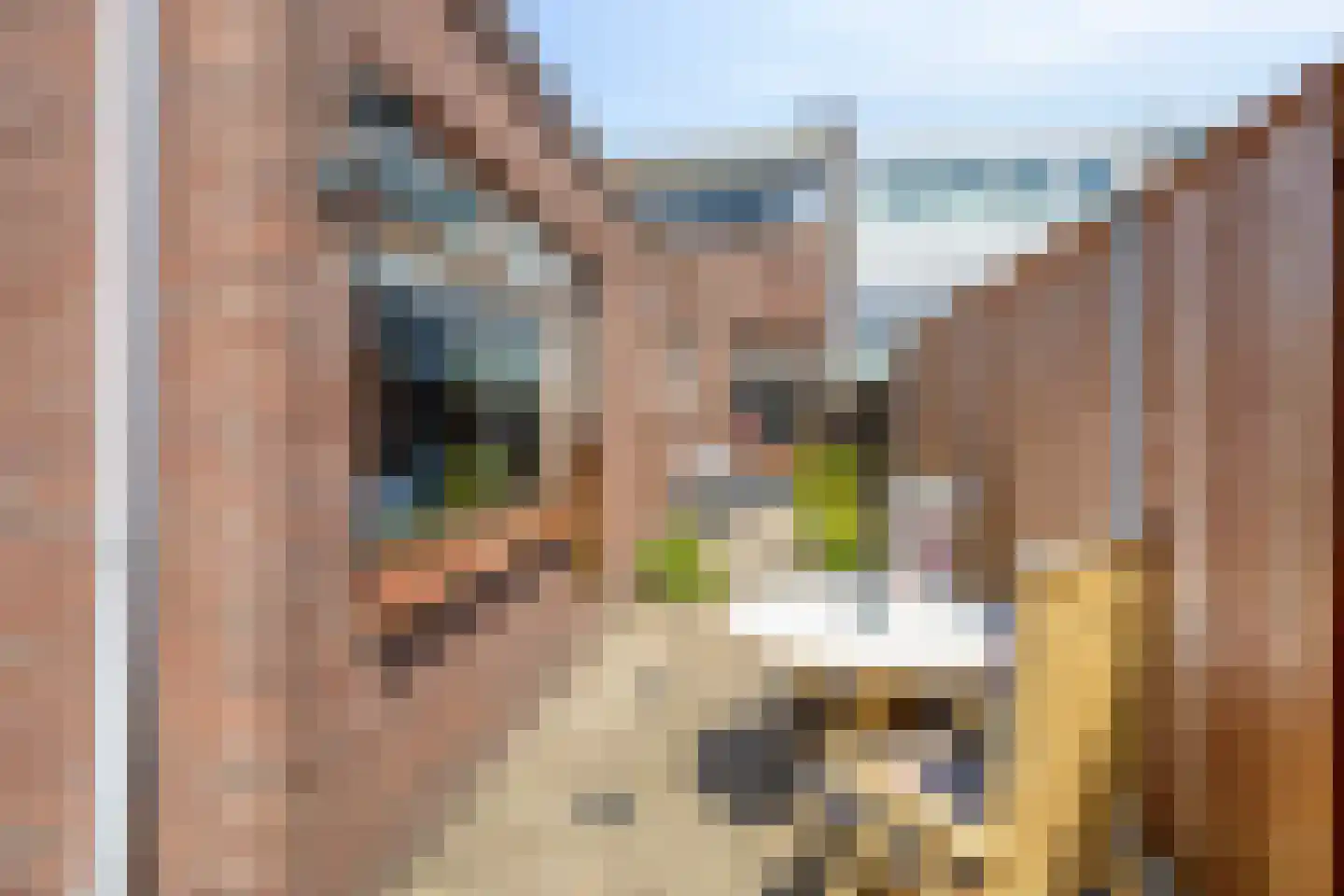 Van Reedestraat 14 Alphen aan den Rijn thumbnail 26