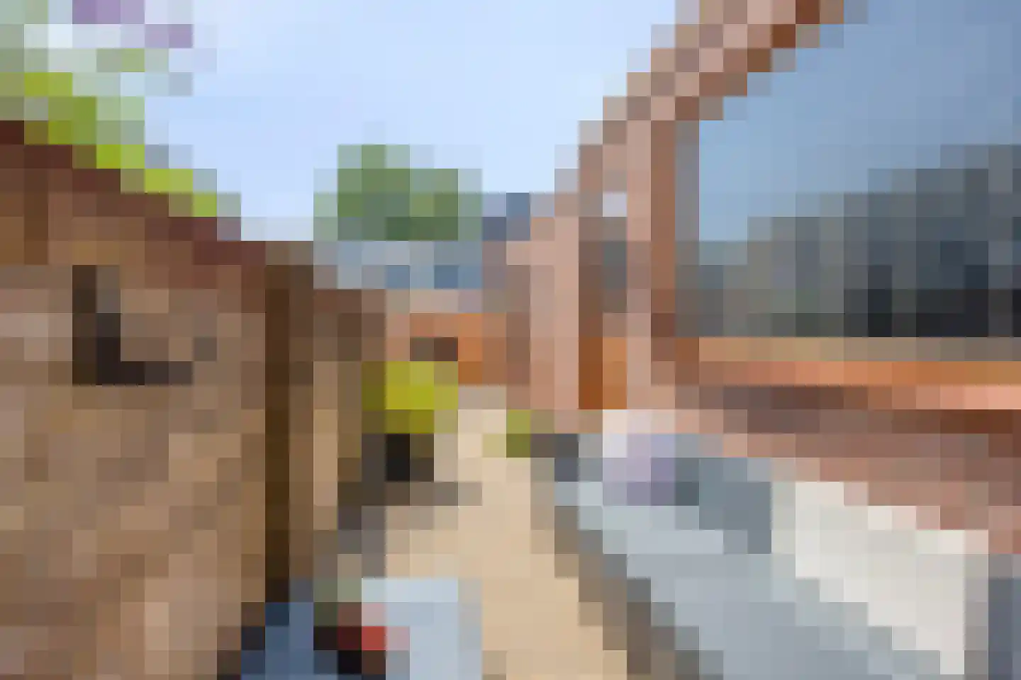 Van Reedestraat 14 Alphen aan den Rijn thumbnail 28