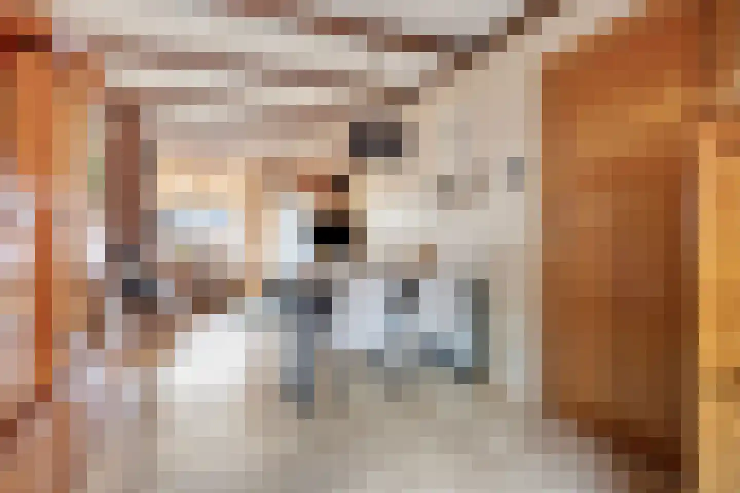 Van Reedestraat 14 Alphen aan den Rijn thumbnail 7