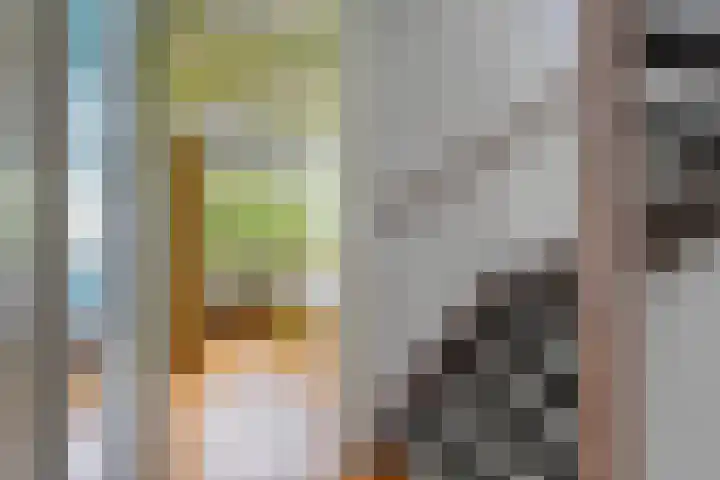 Van Reedestraat 18 Maarssen thumbnail 18