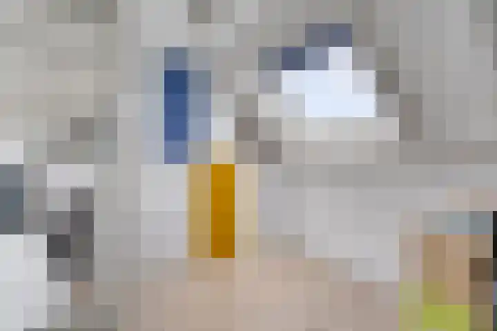 Van Reedestraat 18 Maarssen thumbnail 19