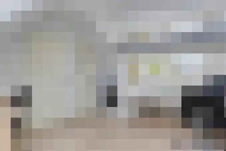 Van Reedestraat 18 Maarssen thumbnail 20
