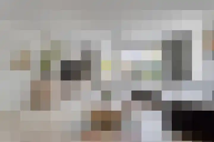 Van Reedestraat 18 Maarssen thumbnail 21