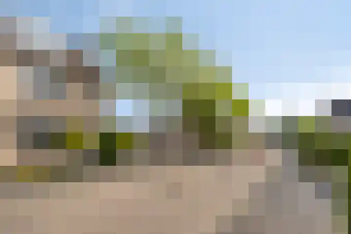 Van Reedestraat 18 Maarssen thumbnail 25