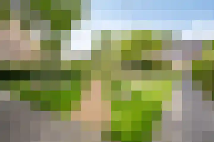 Van Reedestraat 18 Maarssen thumbnail 27