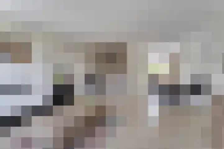 Van Reedestraat 18 Maarssen thumbnail 5
