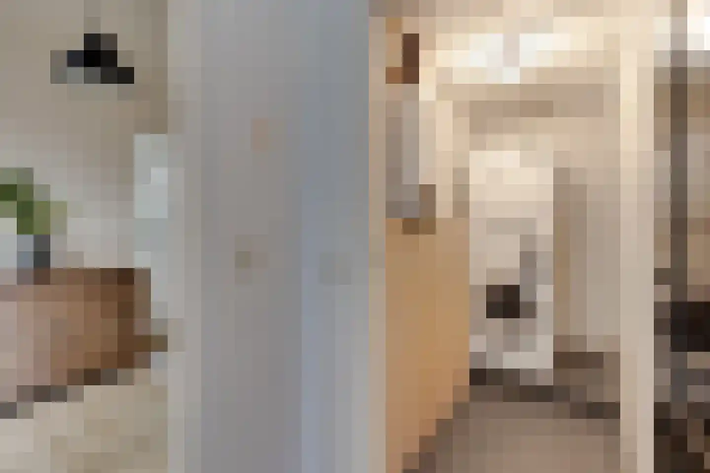 van Reedestraat 32 Lichtenvoorde thumbnail 18