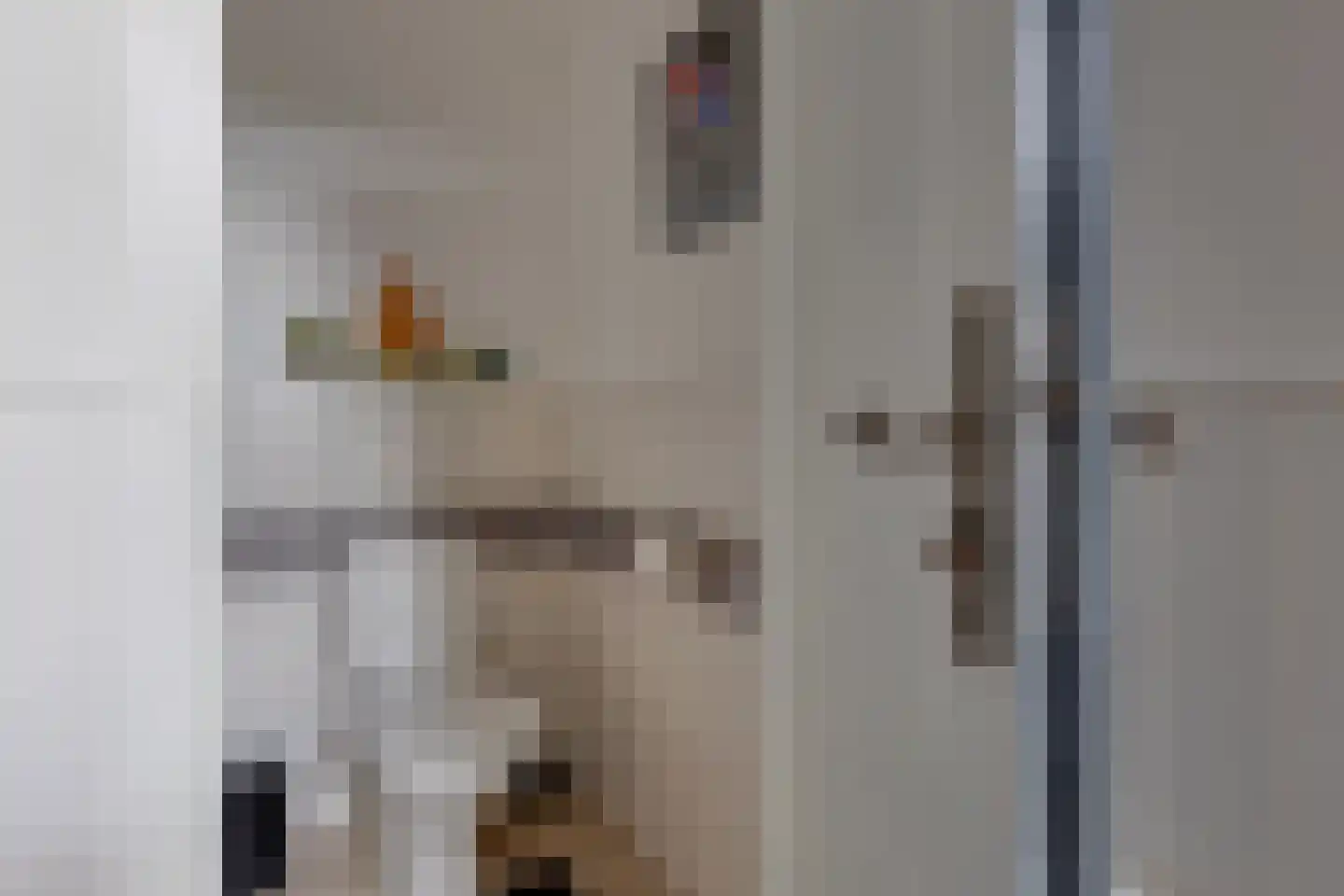 van Reedestraat 32 Lichtenvoorde thumbnail 21