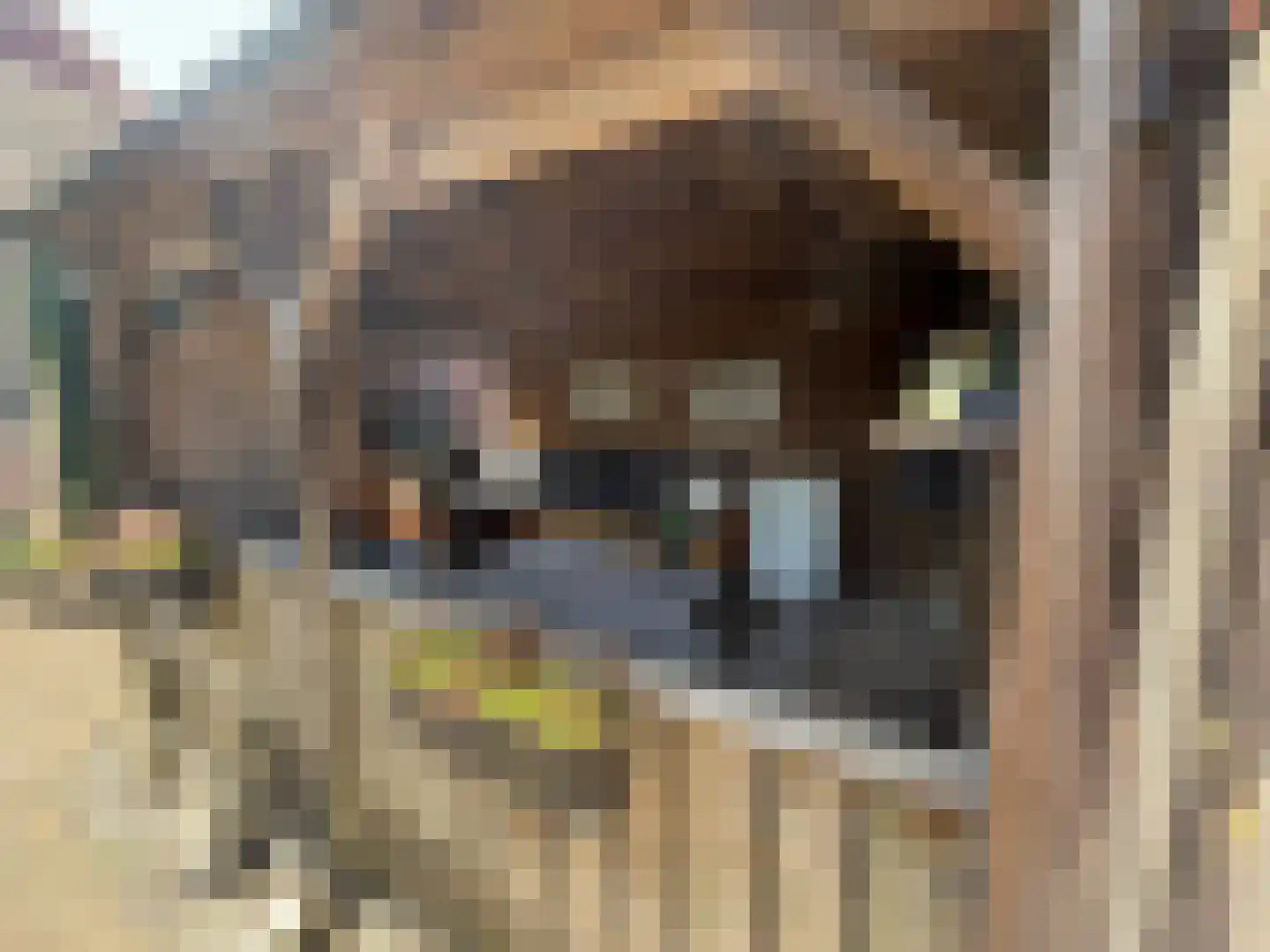 van Reedestraat 32 Lichtenvoorde thumbnail 41