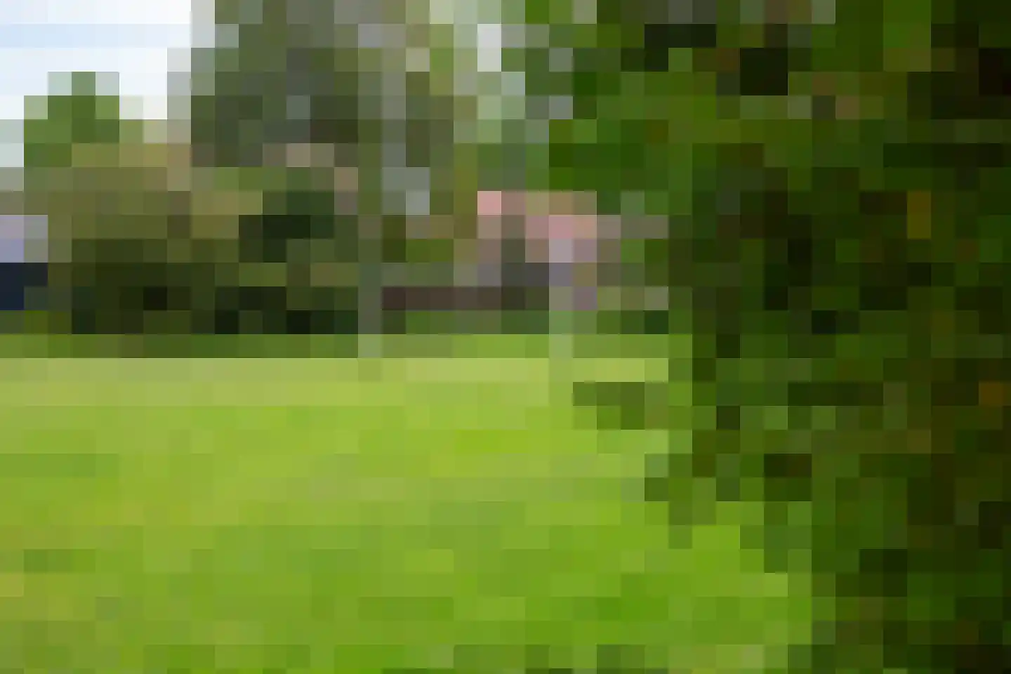 van Reedestraat 32 Lichtenvoorde thumbnail 46