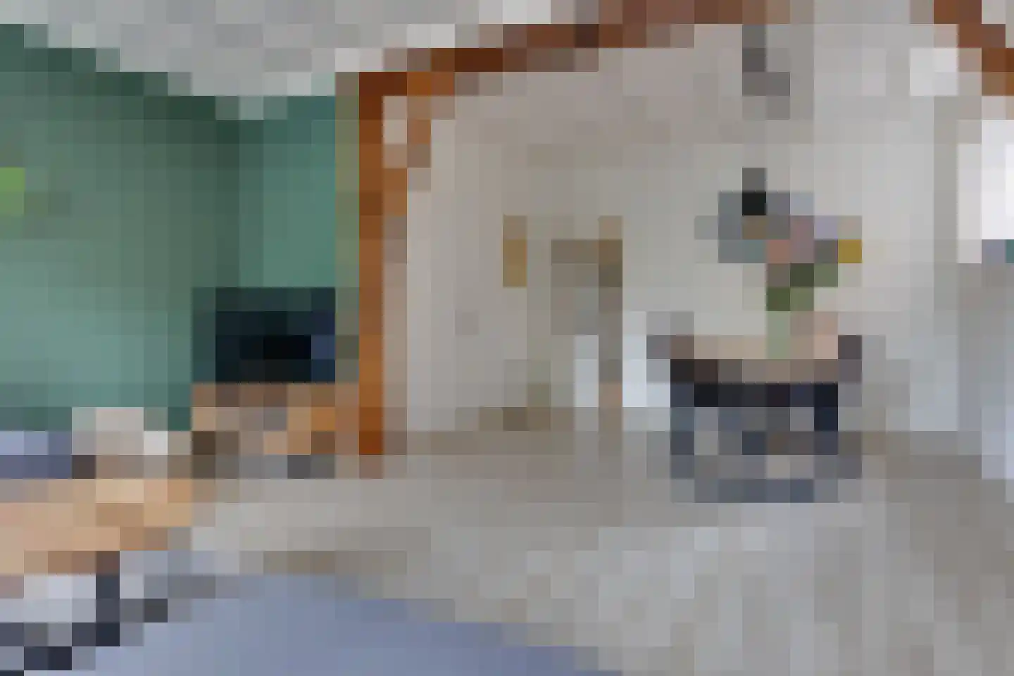 van Reedestraat 32 Lichtenvoorde thumbnail 6
