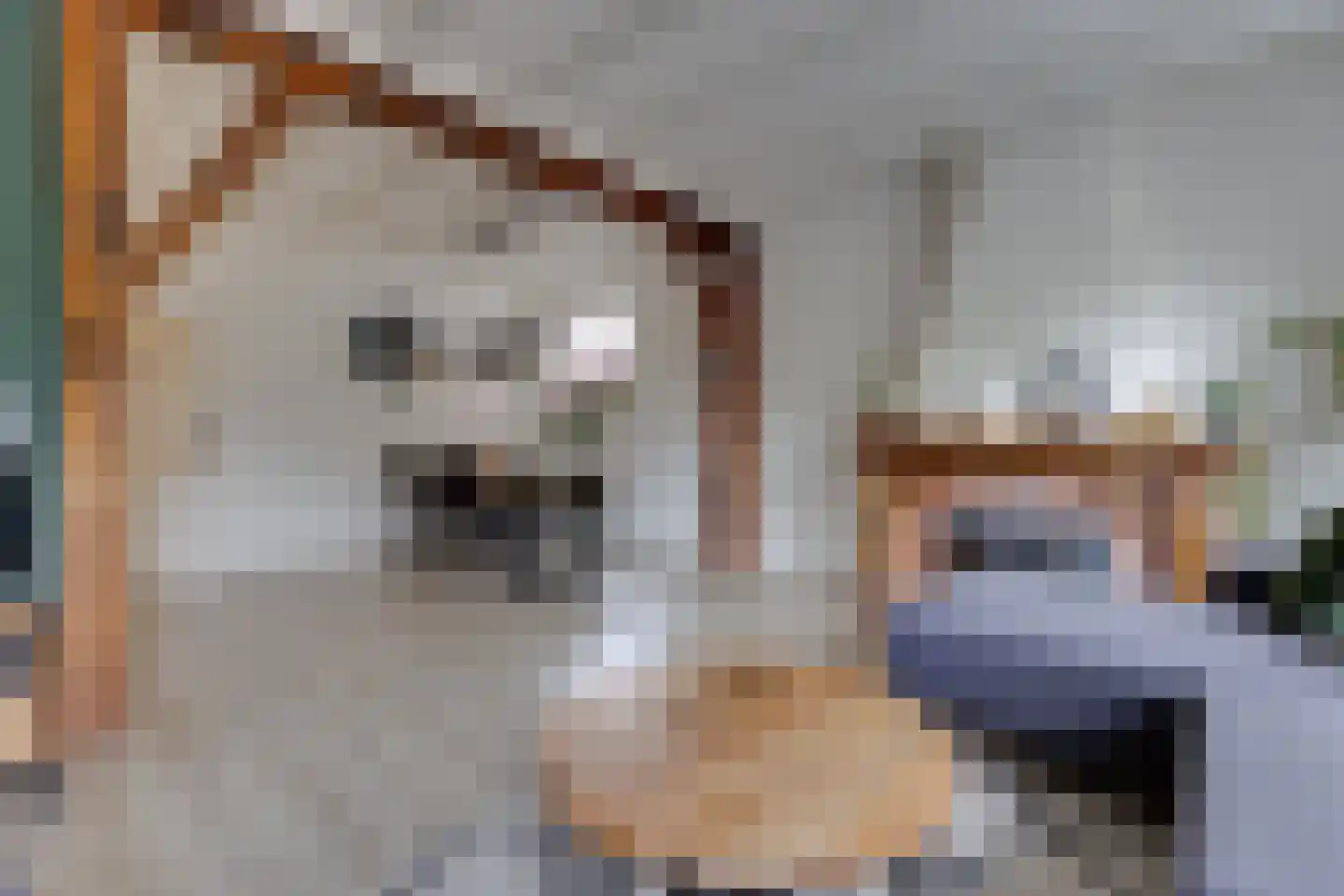 van Reedestraat 32 Lichtenvoorde thumbnail 7