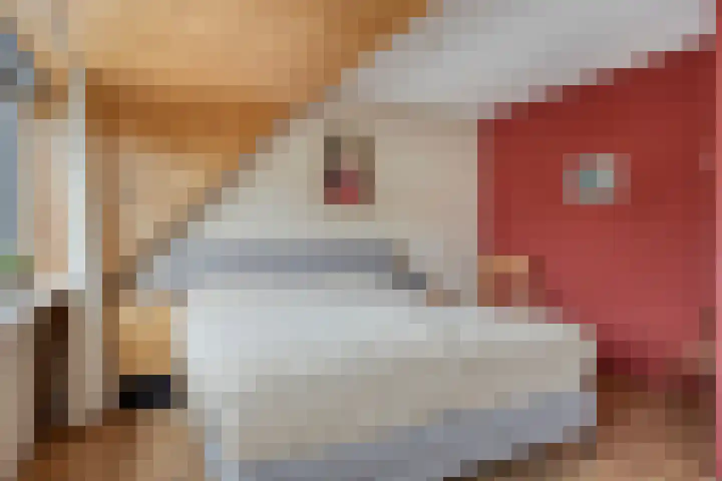 Van Reedestraat 4 Maarssen thumbnail 14