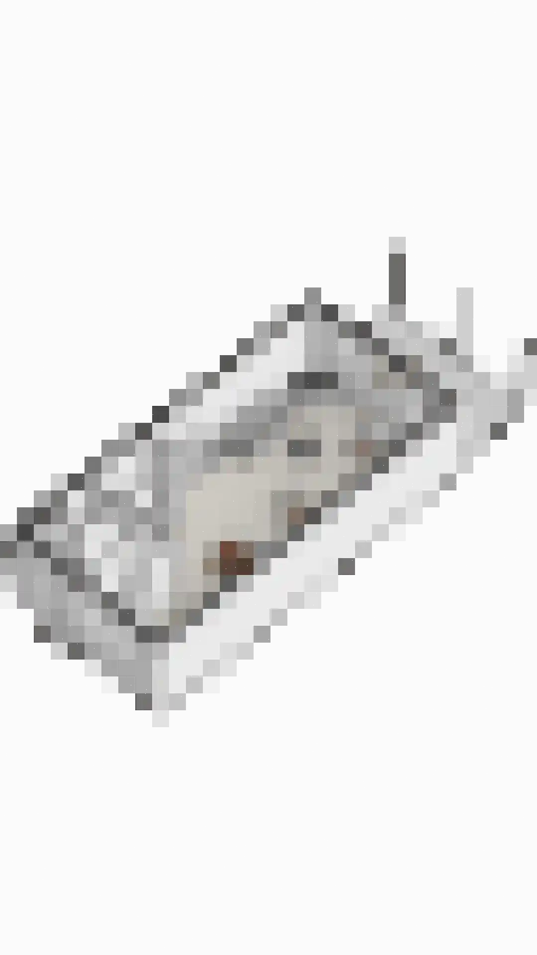 Van Reedestraat 4 Maarssen thumbnail 42