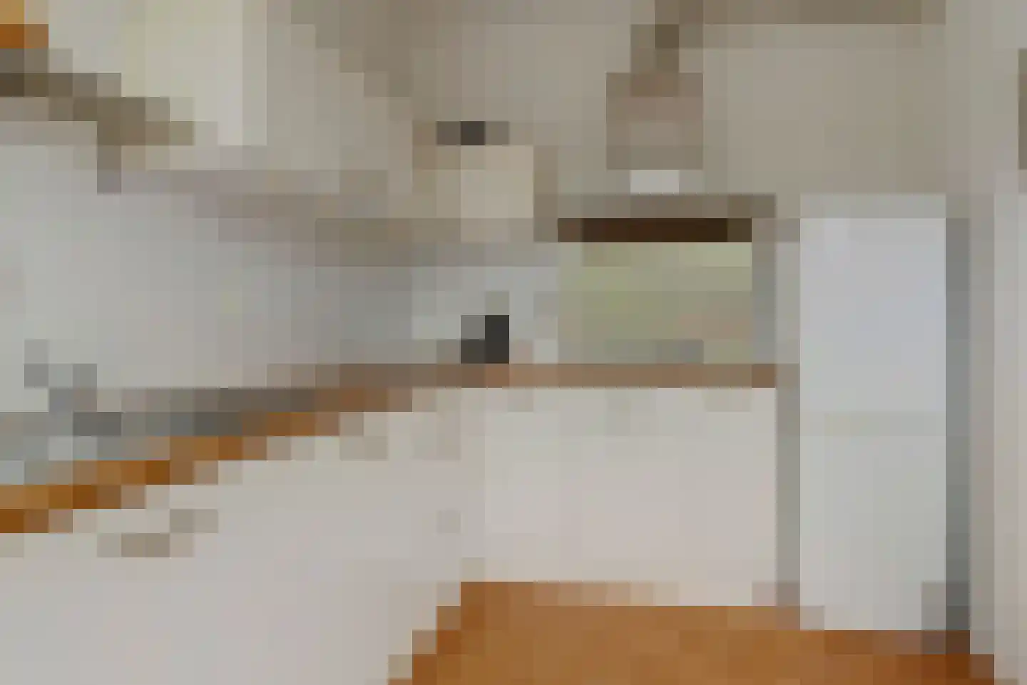 van Reedeweg 20 Renswoude thumbnail 13