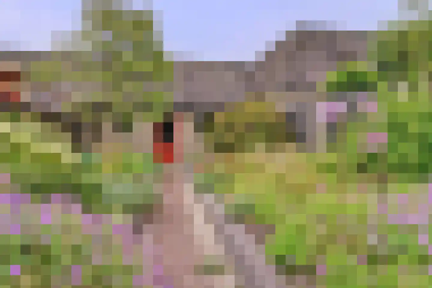 van Reedeweg 20 Renswoude thumbnail 17