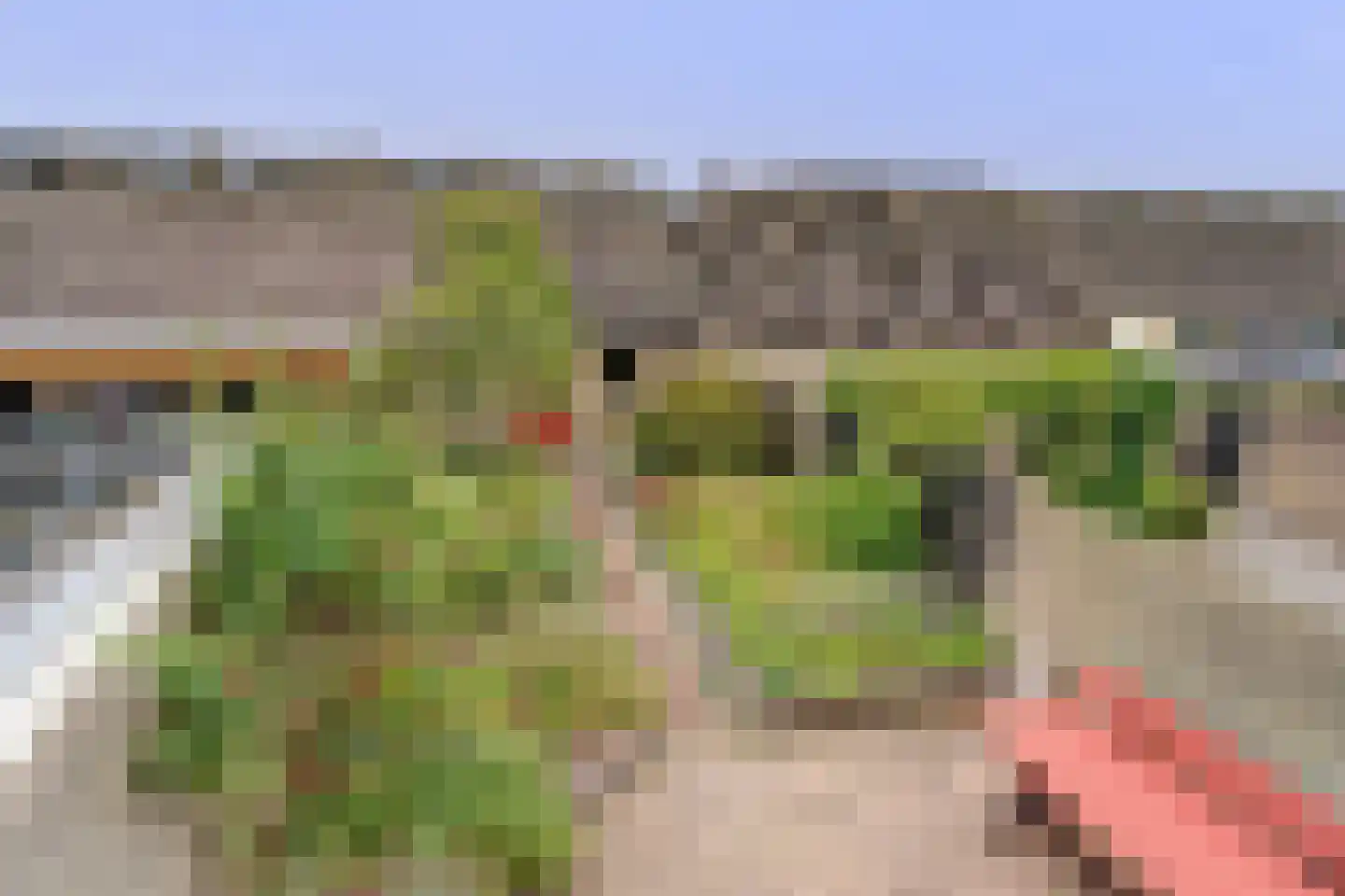van Reedeweg 20 Renswoude thumbnail 19