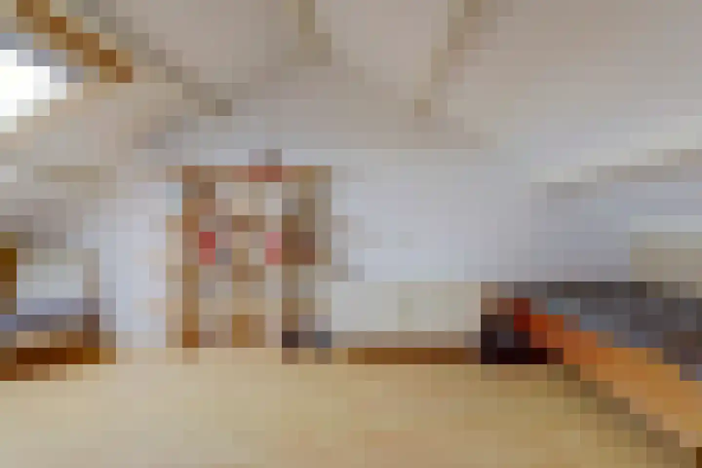 van Reedeweg 20 Renswoude thumbnail 33