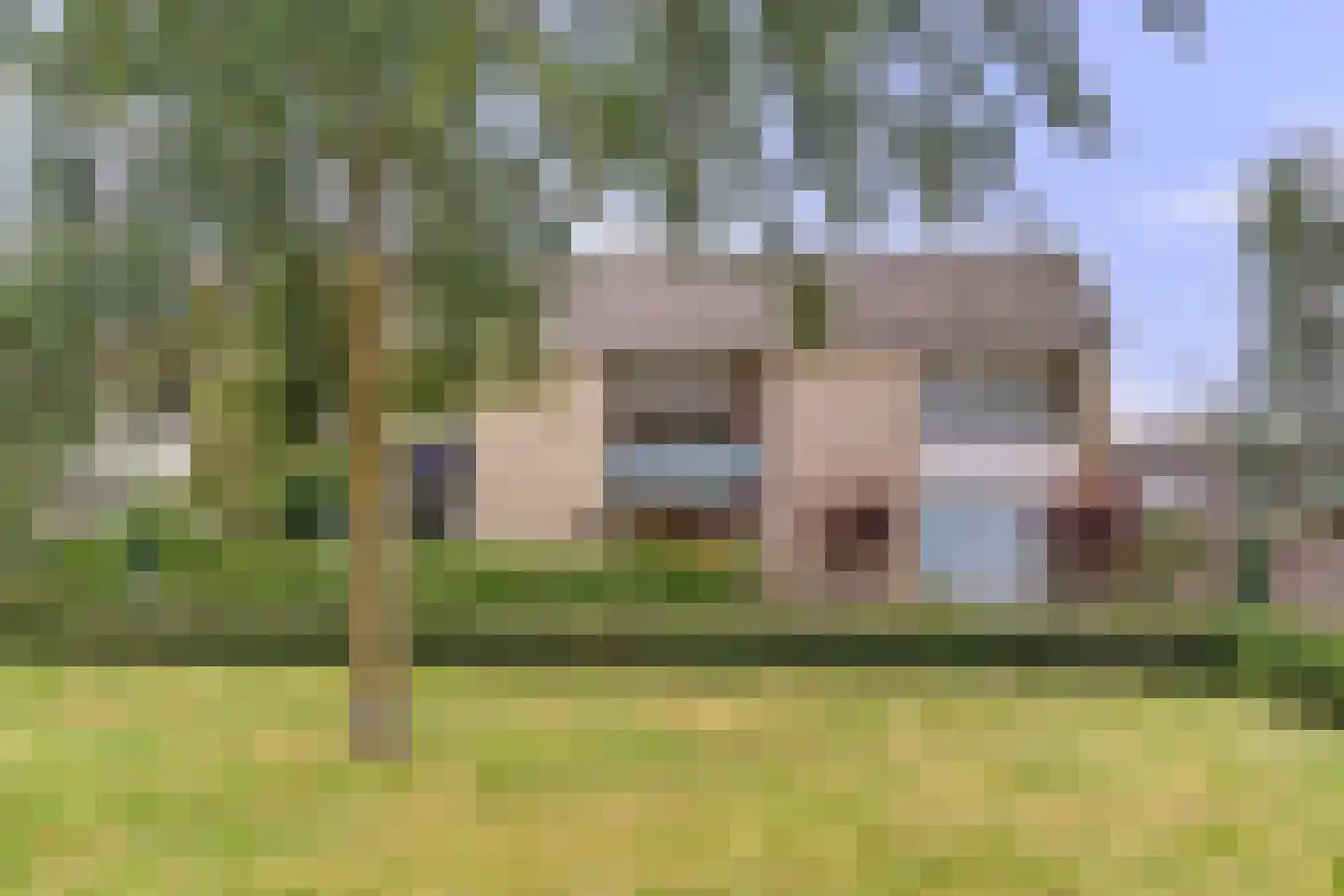 van Reedeweg 20 Renswoude thumbnail 36