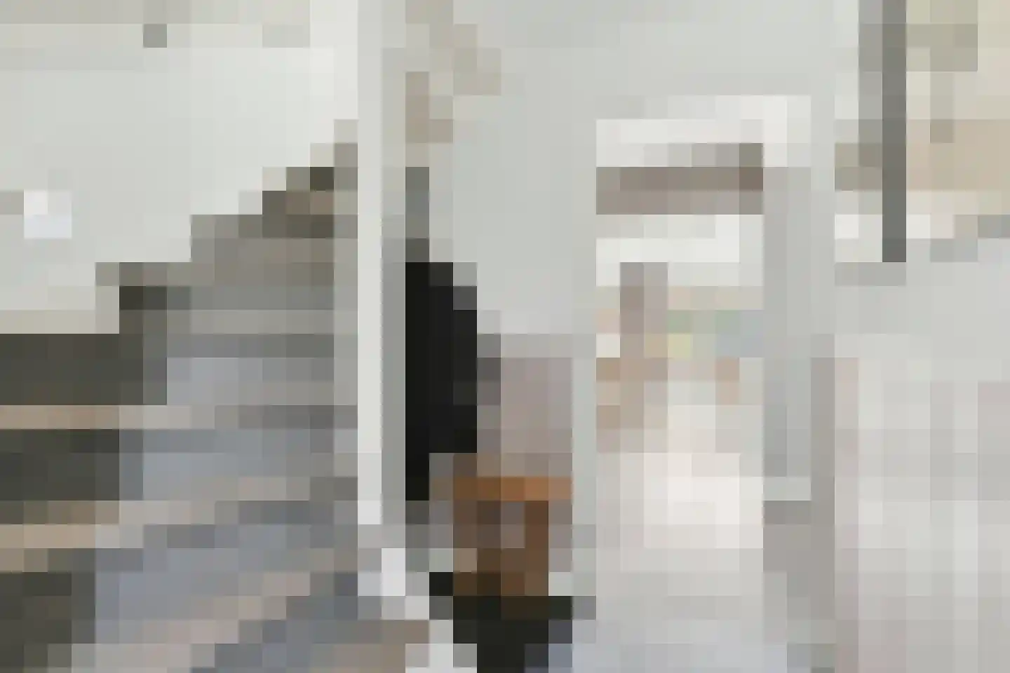 van Reedeweg 22 Renswoude thumbnail 25