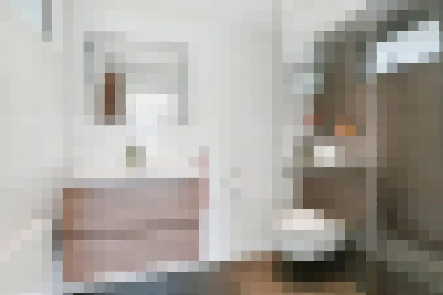 van Reedeweg 22 Renswoude thumbnail 32