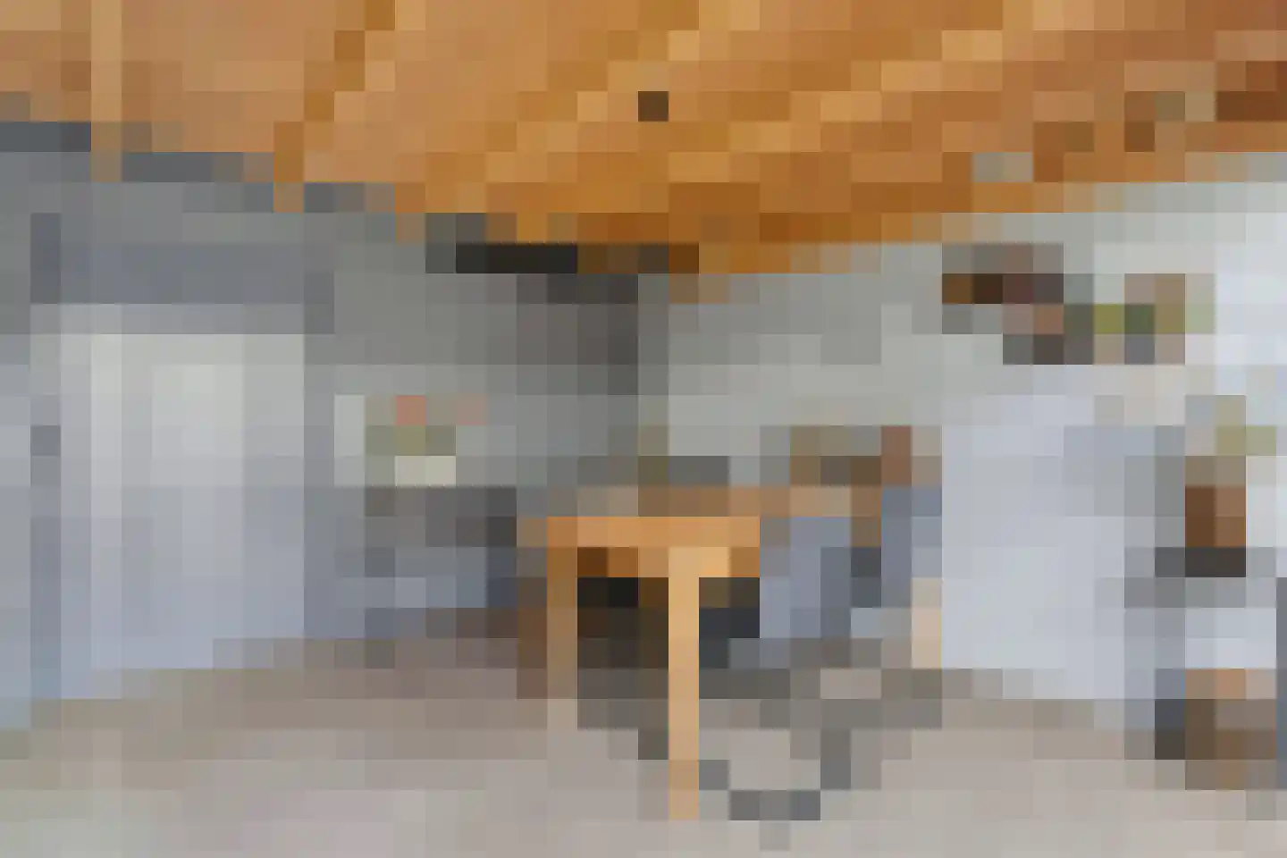 van Reedeweg 22 Renswoude thumbnail 41