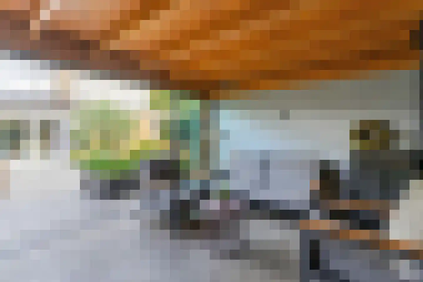 van Reedeweg 22 Renswoude thumbnail 42