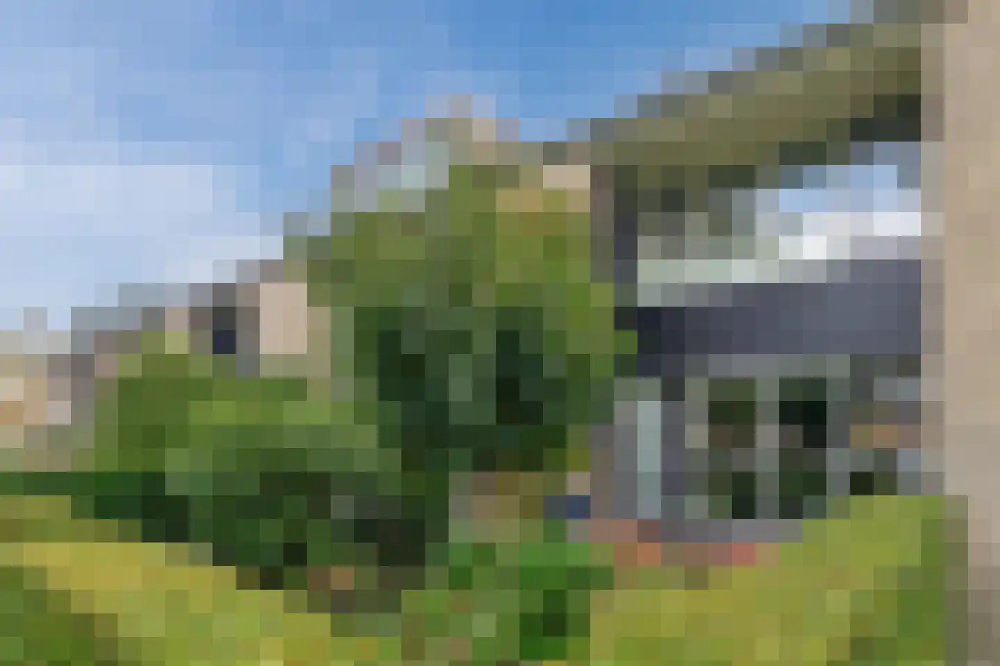van Reedeweg 22 Renswoude thumbnail 47