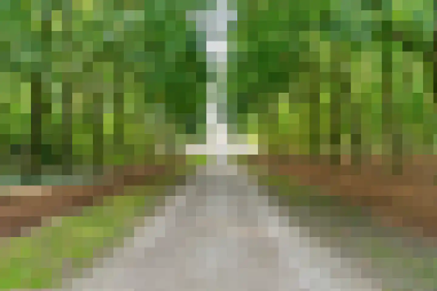 van Reedeweg 22 Renswoude thumbnail 51