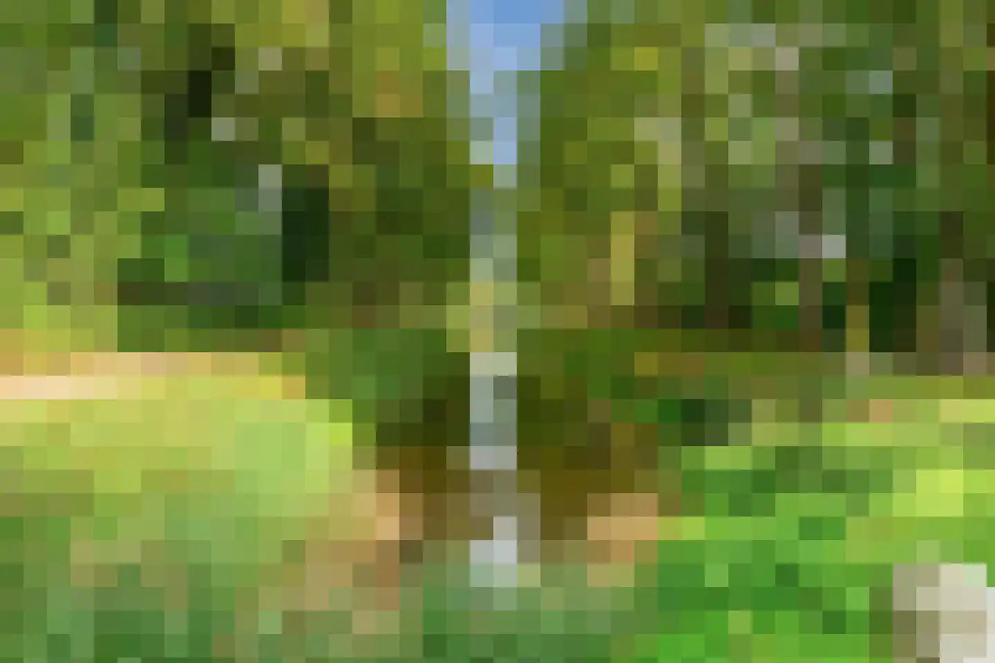 van Reedeweg 22 Renswoude thumbnail 53