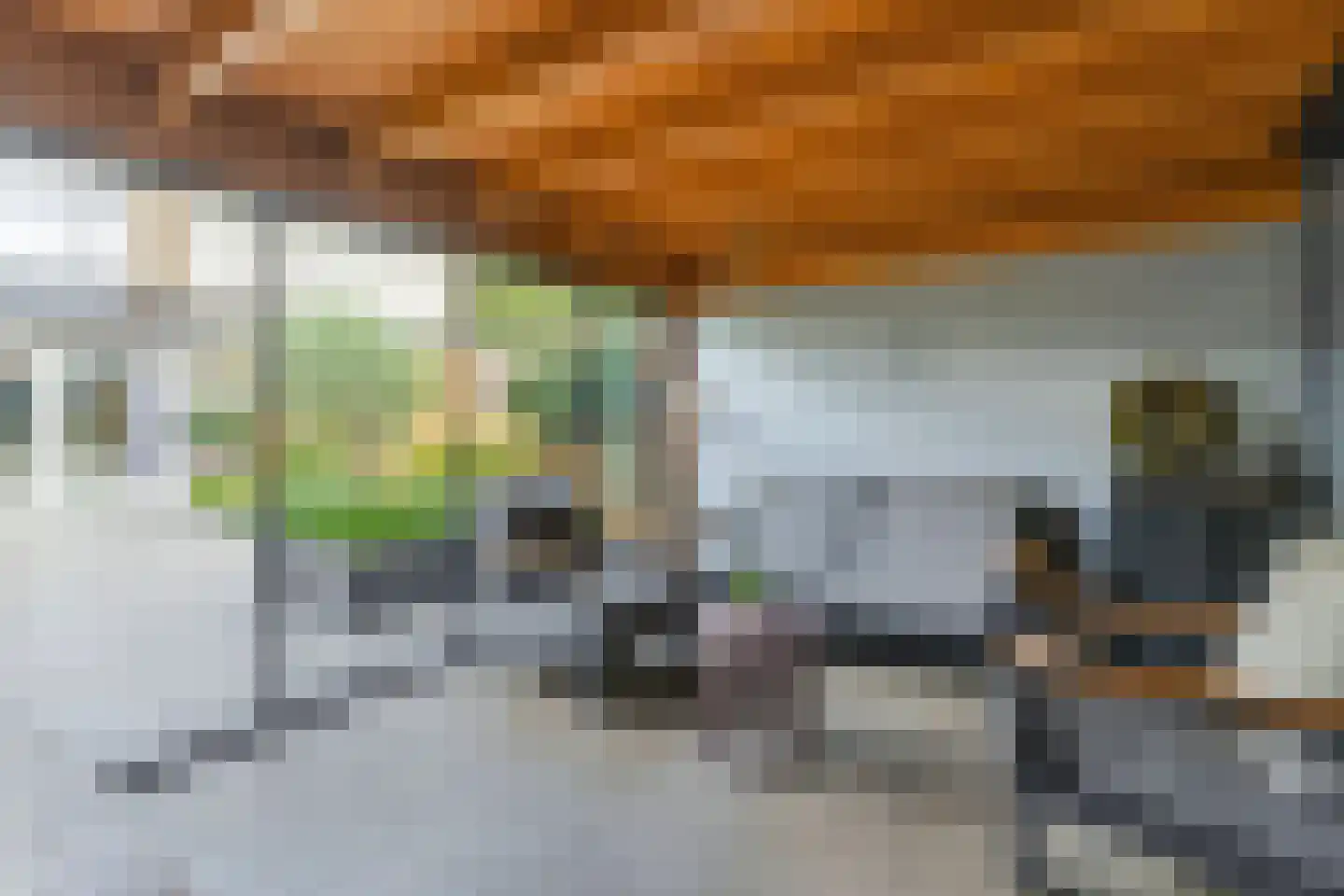 van Reedeweg 22 Renswoude thumbnail 8