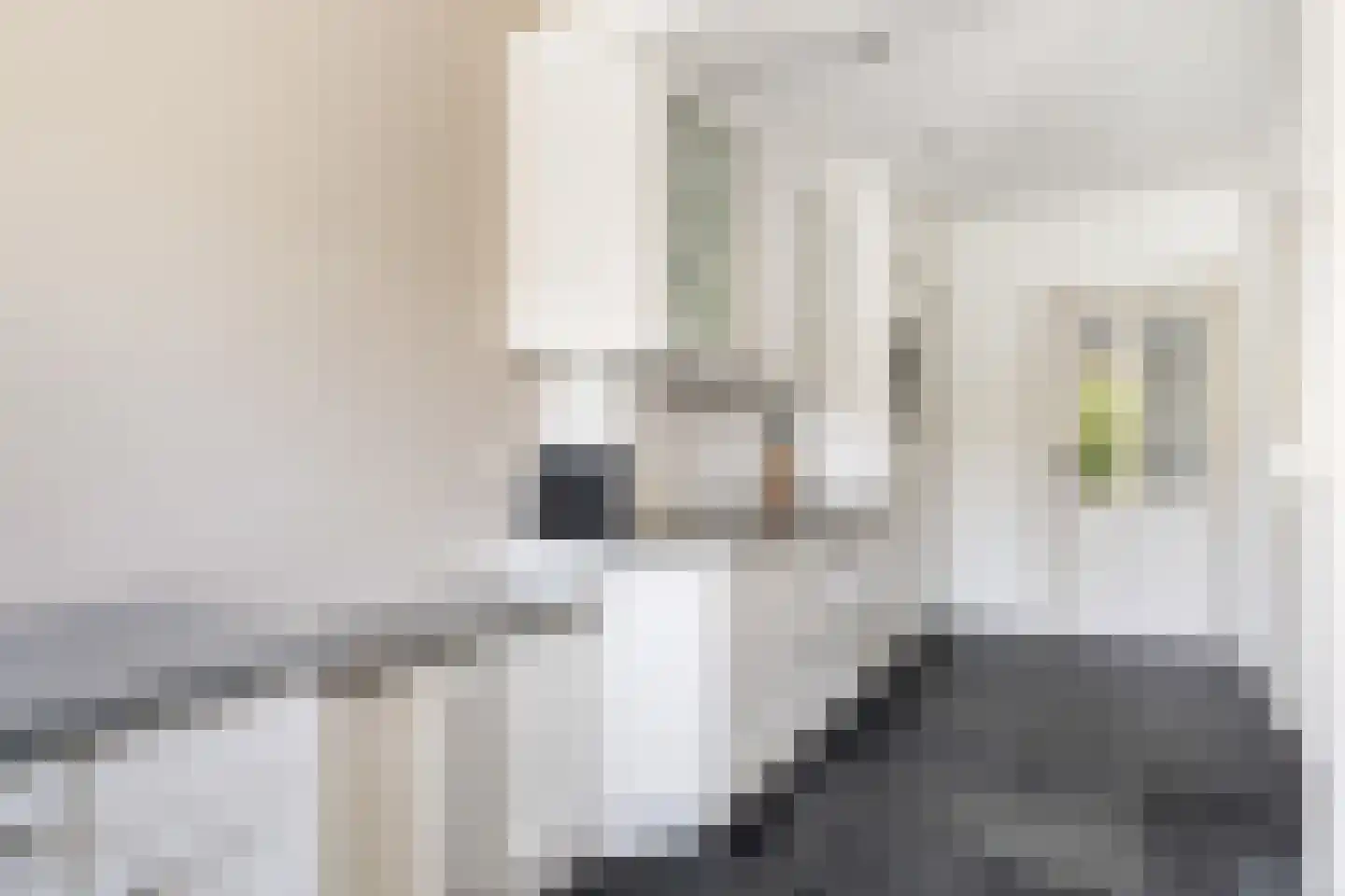 van Reedeweg 36 Renswoude thumbnail 10