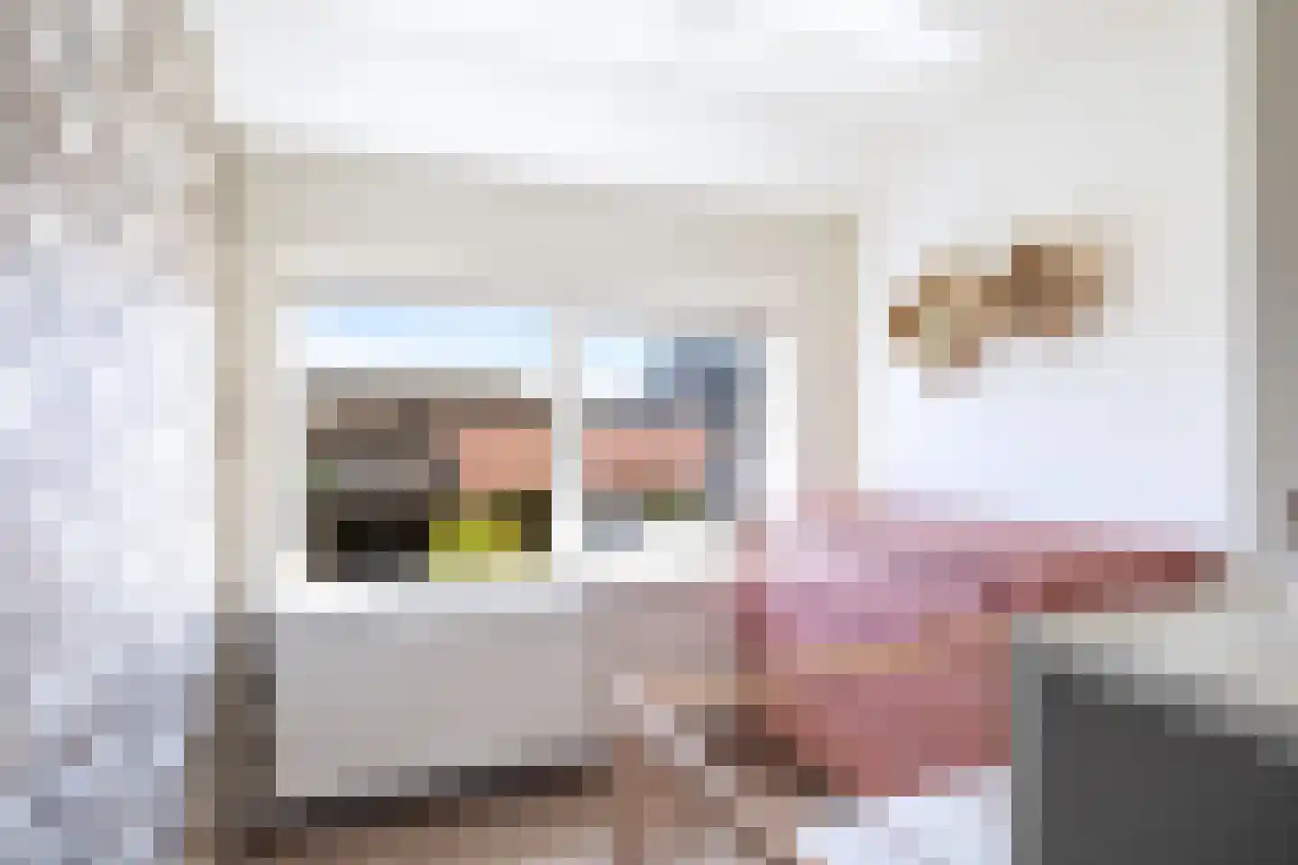van Reedeweg 36 Renswoude thumbnail 23