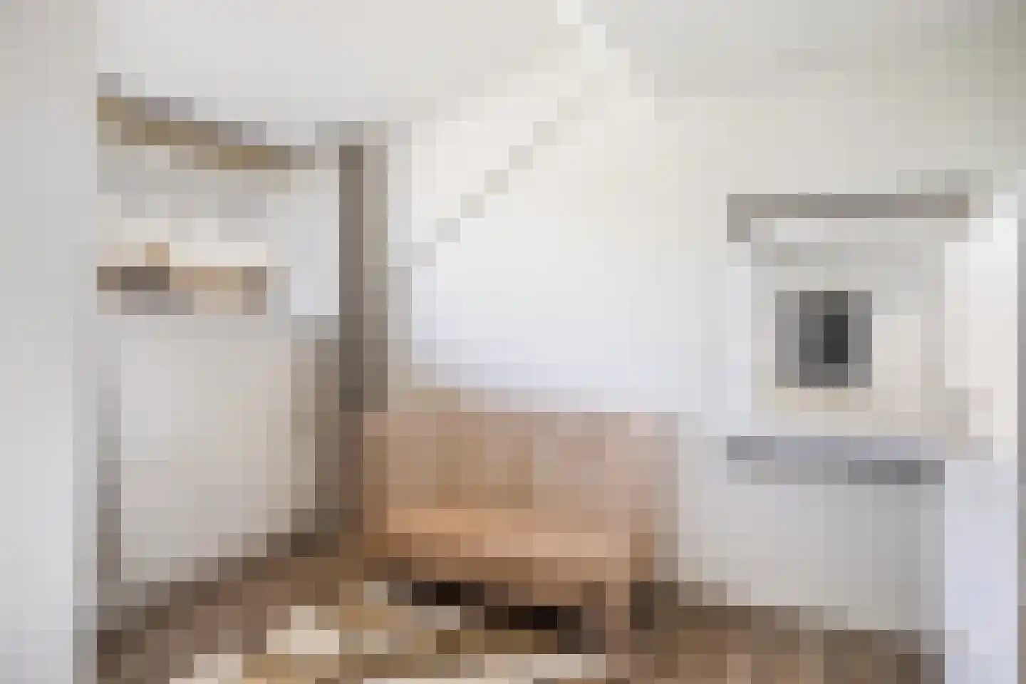van Reedeweg 36 Renswoude thumbnail 26