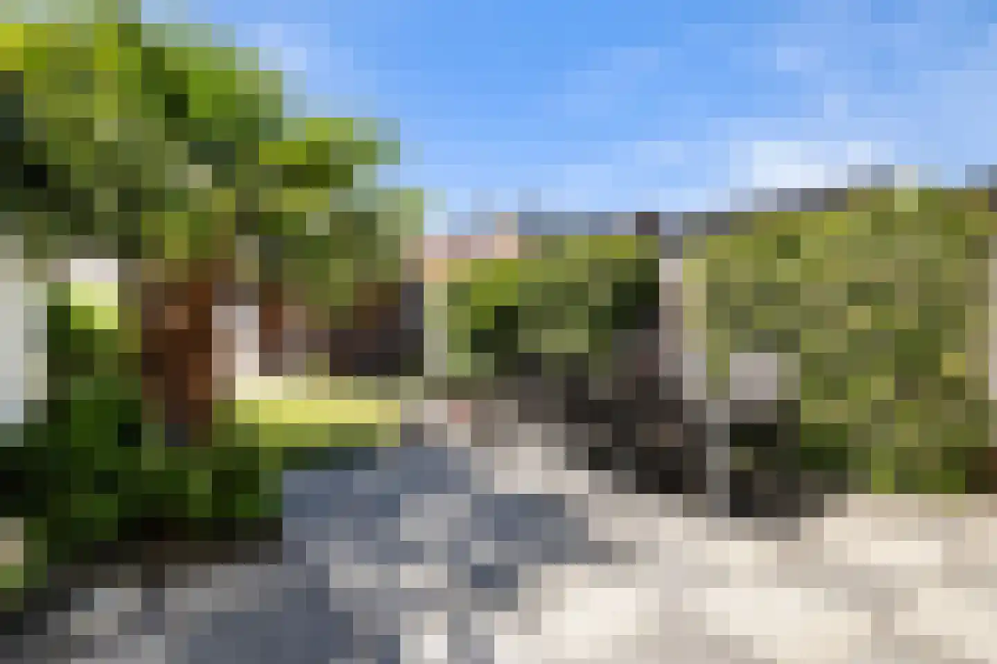 van Reedeweg 36 Renswoude thumbnail 29