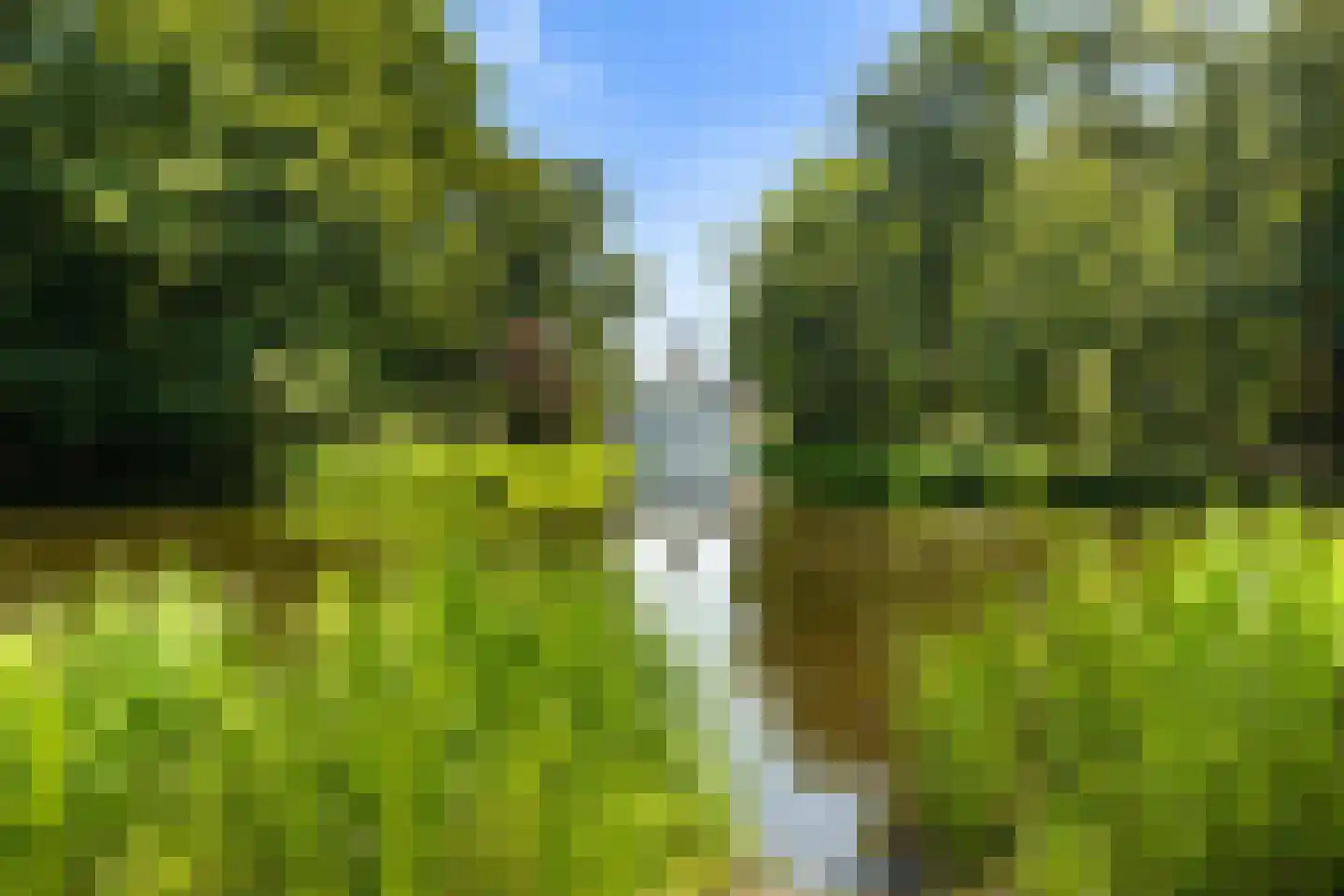 van Reedeweg 36 Renswoude thumbnail 40