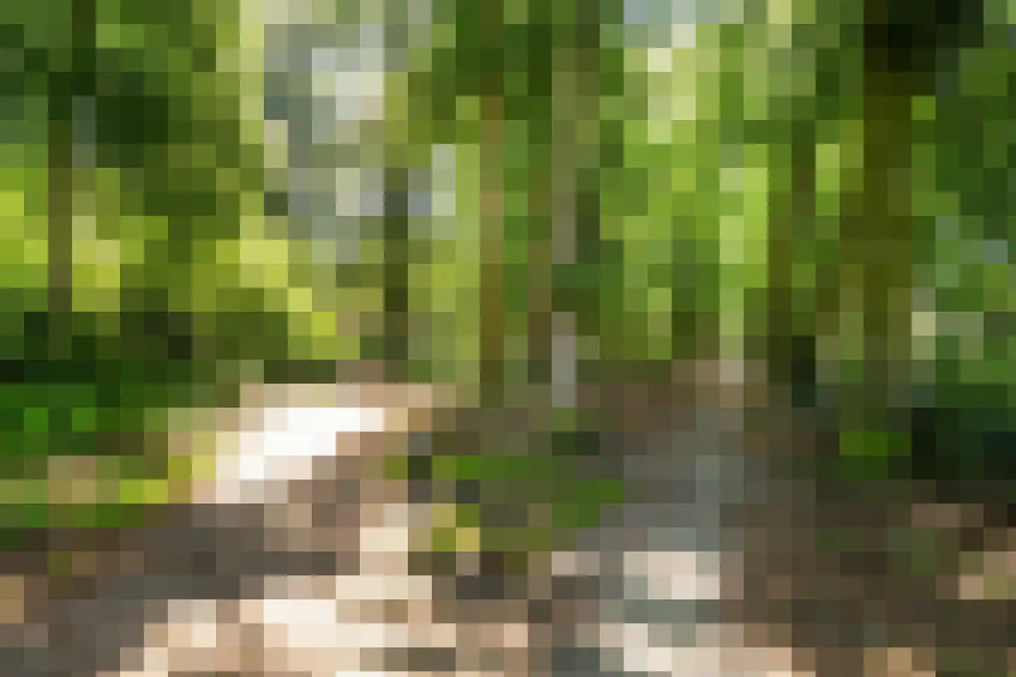 van Reedeweg 36 Renswoude thumbnail 41