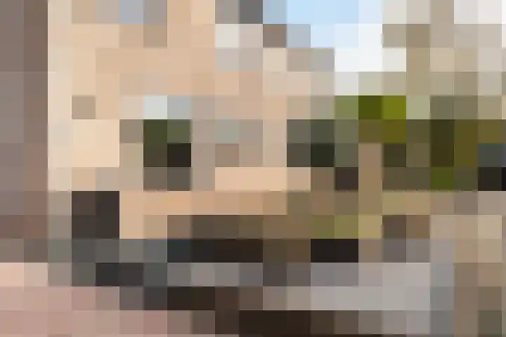 van Reedeweg 47 a Renswoude thumbnail 40