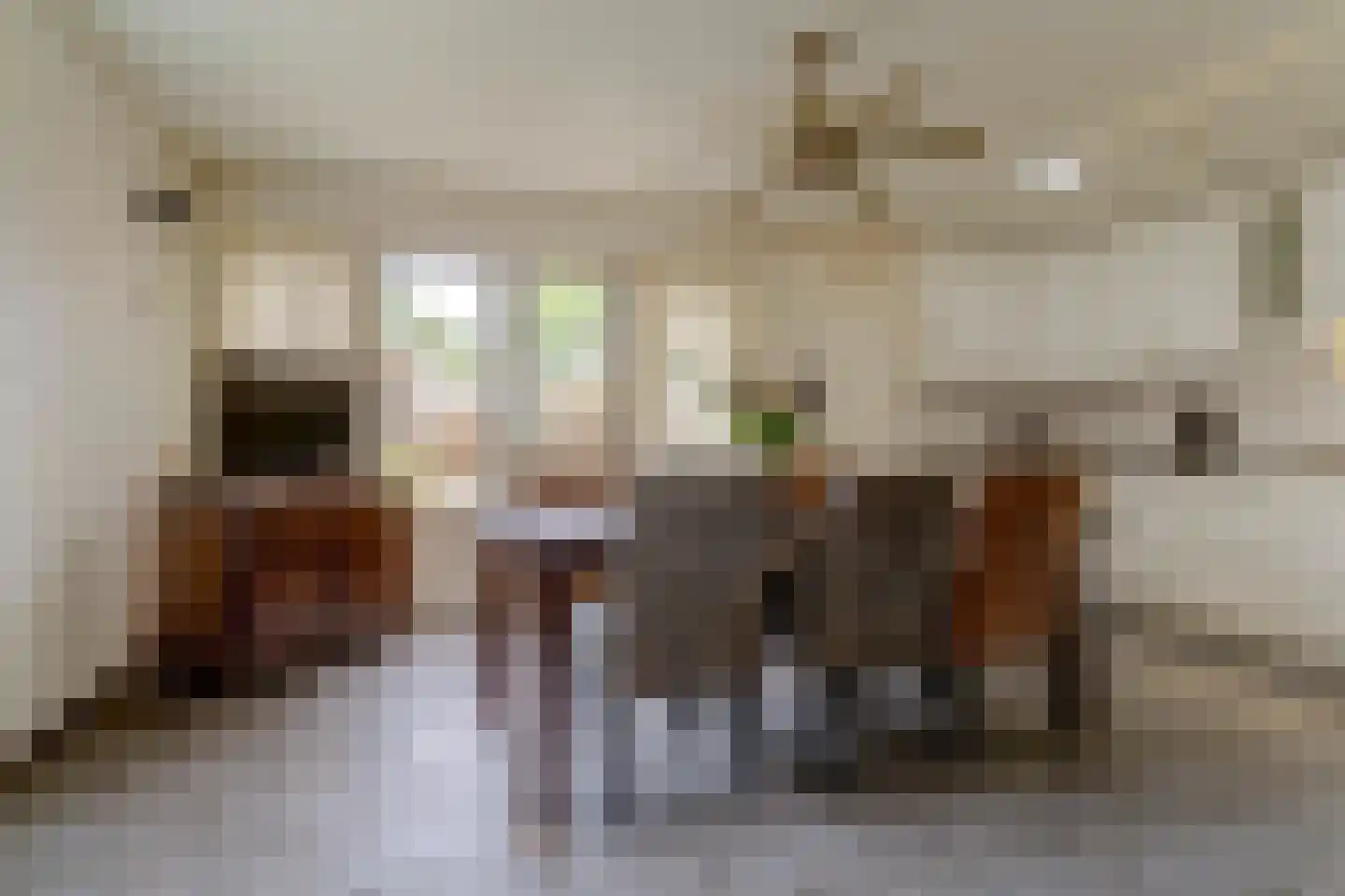 van Reedeweg 72 Renswoude thumbnail 18