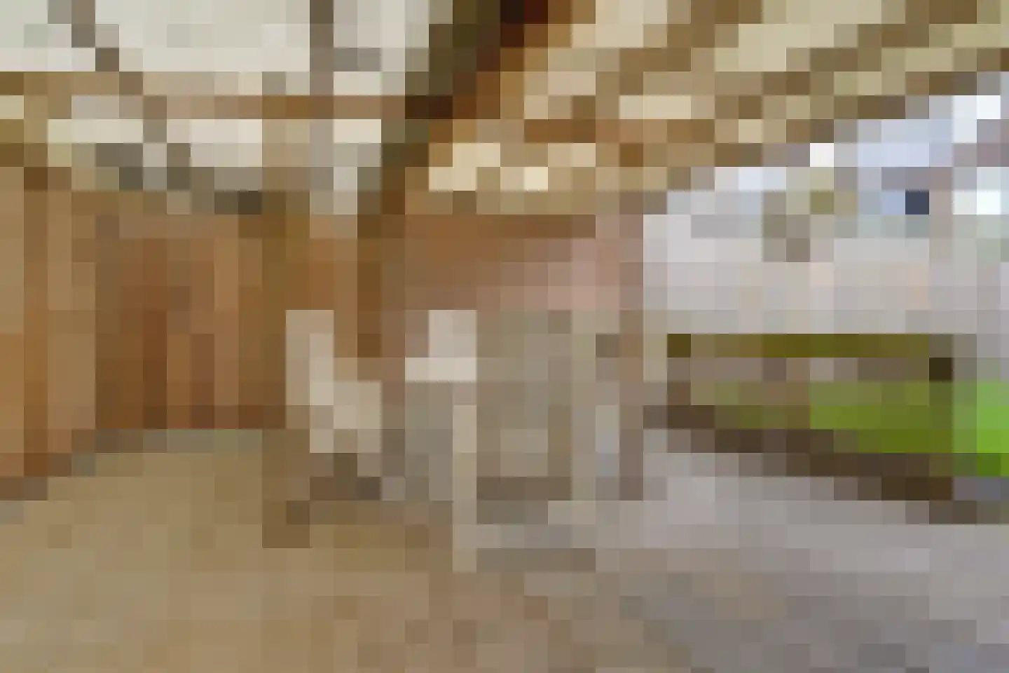 van Reedeweg 72 Renswoude thumbnail 29